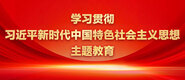 大鸡巴操骚逼出水啊啊啊学习贯彻习近平新时代中国特色社会主义思想主题教育_fororder_ad-371X160(2)